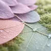 ISO 14001:2026 : la chaîne de valeur entre dans le SMQ environnemental